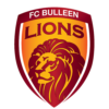 Singa Bulleen FC